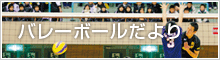 バレーボールだより