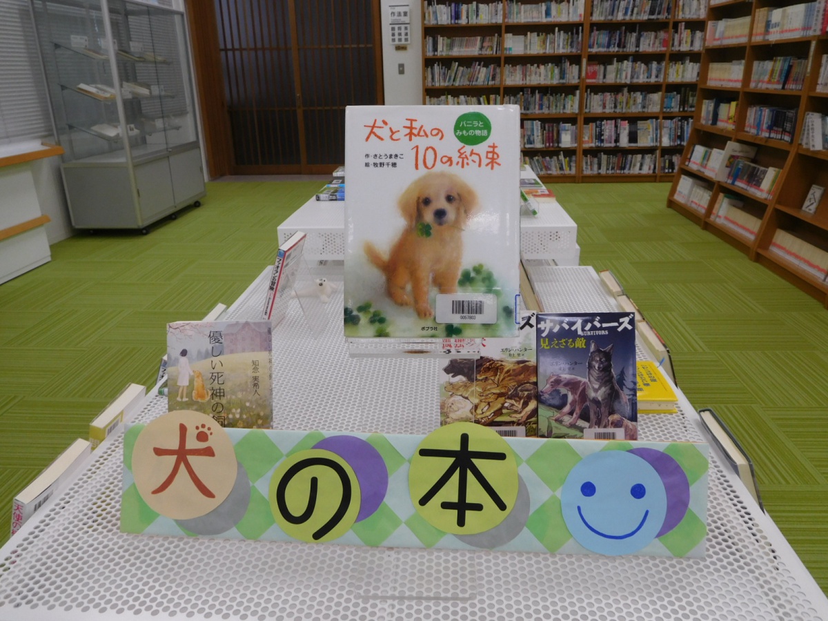 犬の本 コーナーを設置しました 図書館だより 開智中学校 高等学校