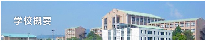 学校概要