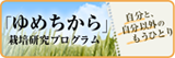 ゆめちから栽培研究プログラム